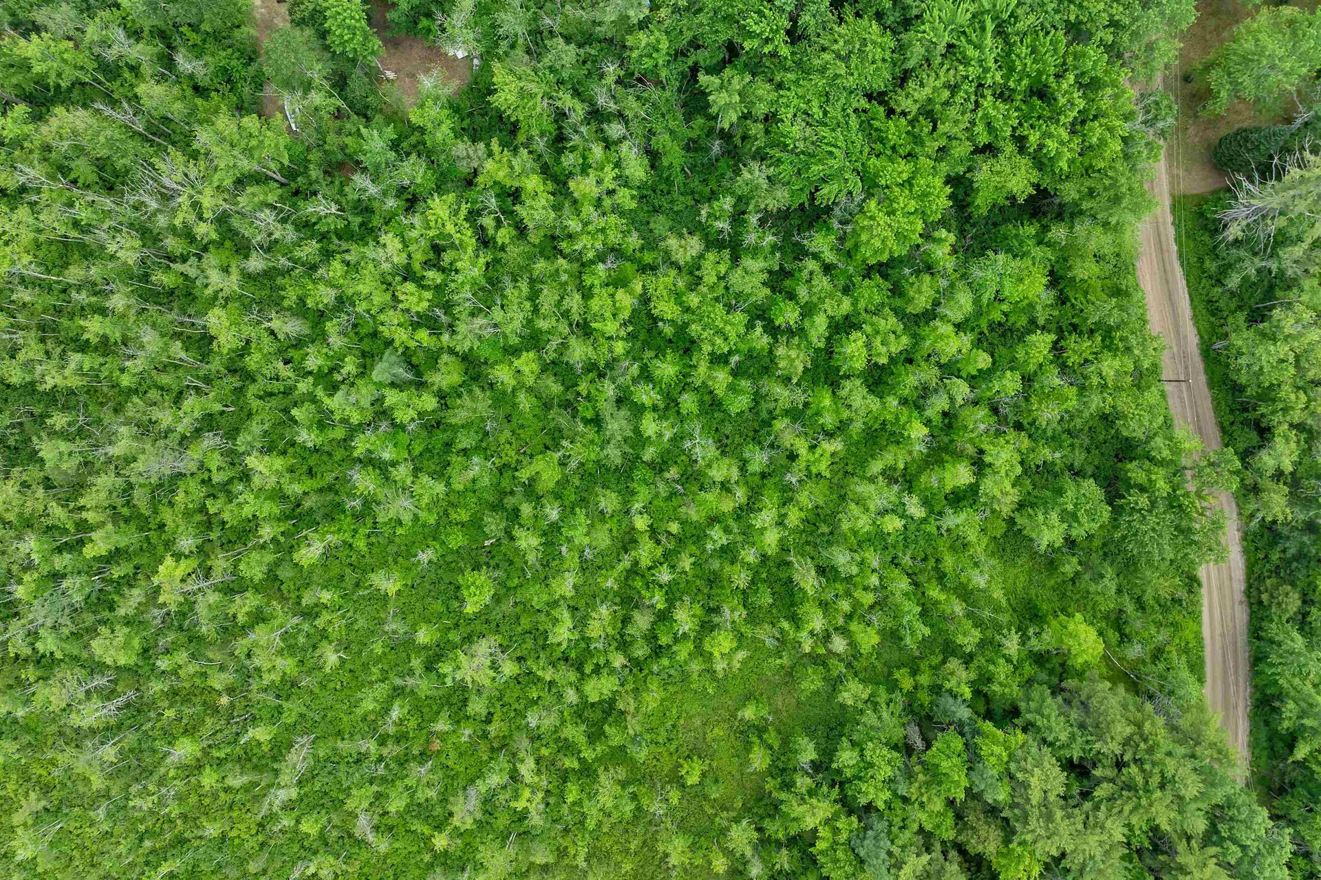 Lot 417-46 Stevens Road Effingham NH 03882