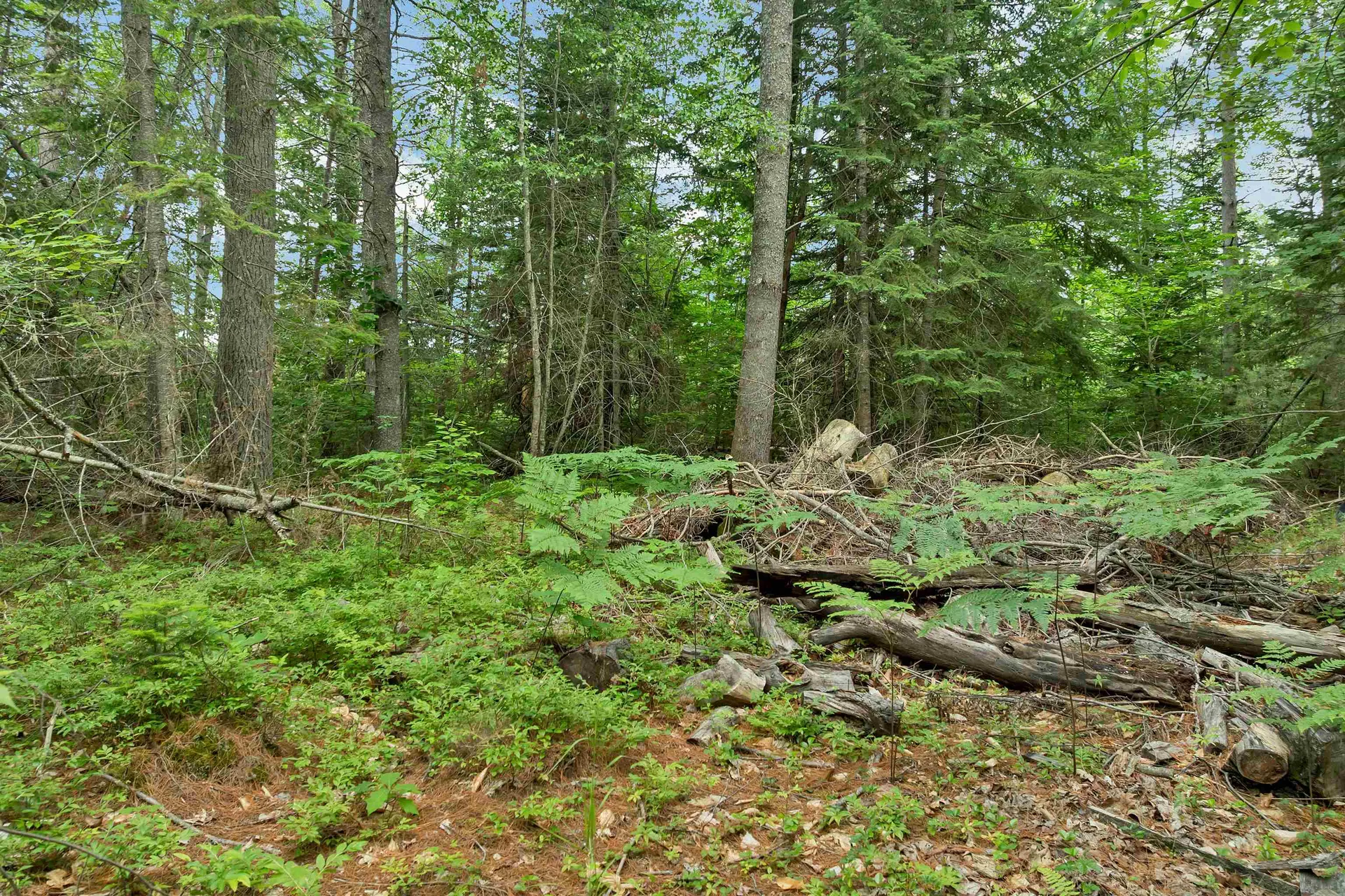 Lot 417-46 Stevens Road Effingham NH 03882