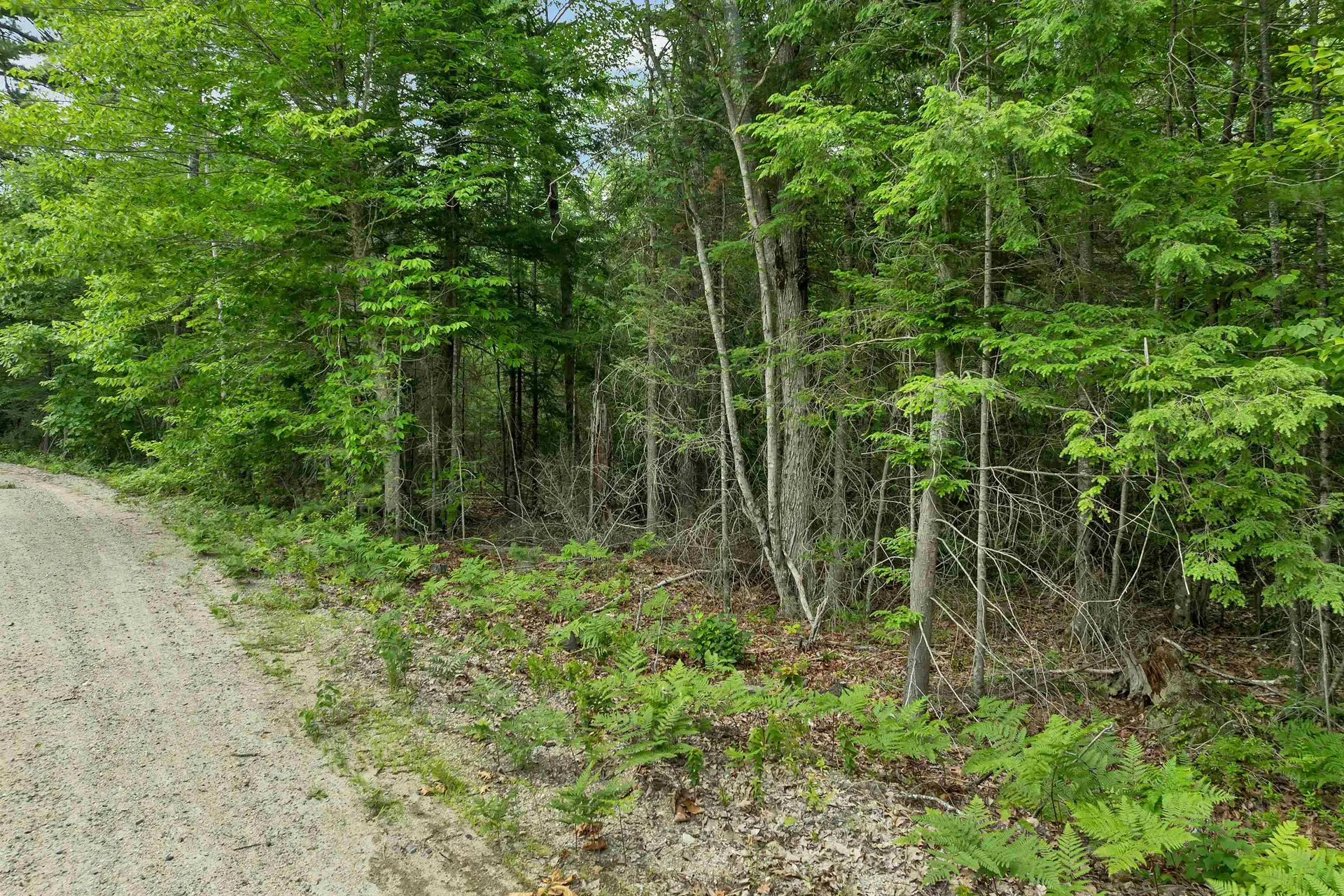 Lot 417-46 Stevens Road Effingham NH 03882