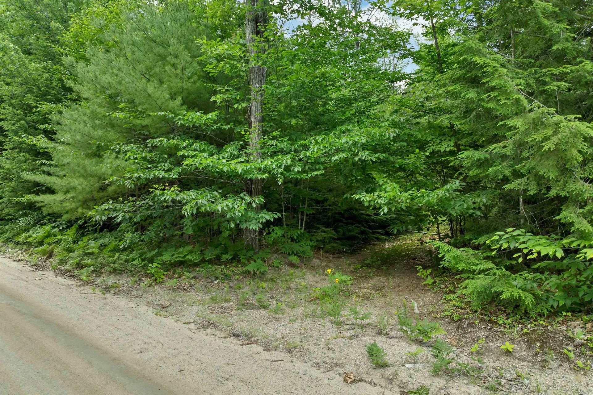 Lot 417-46 Stevens Road Effingham NH 03882
