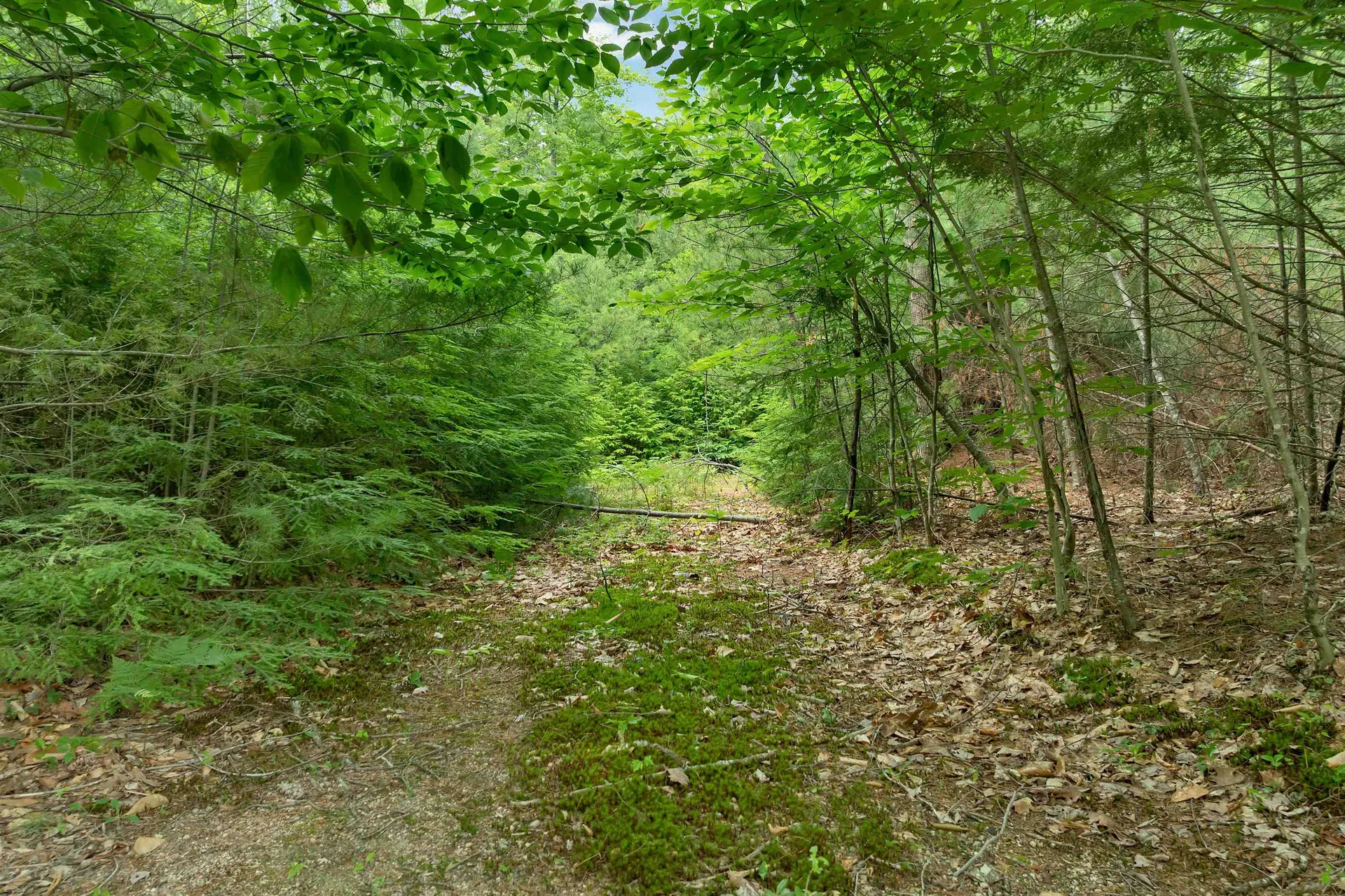 Lot 417-46 Stevens Road Effingham NH 03882