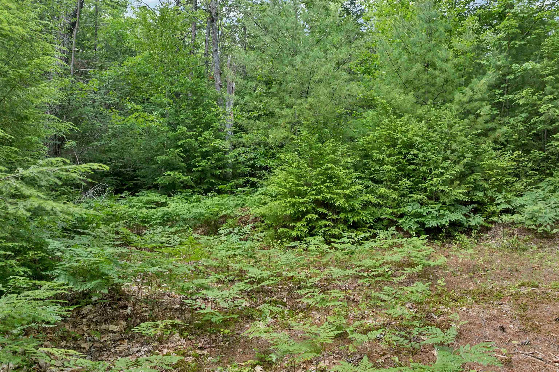 Lot 417-46 Stevens Road Effingham NH 03882