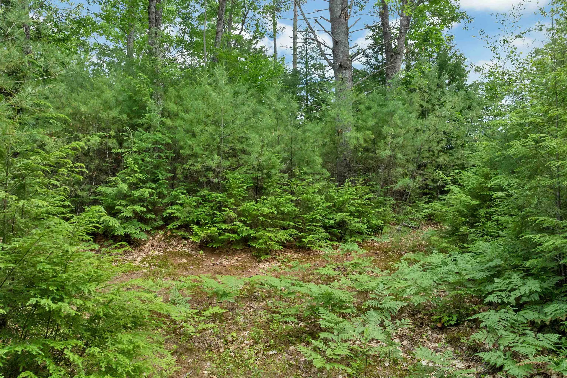 Lot 417-46 Stevens Road Effingham NH 03882