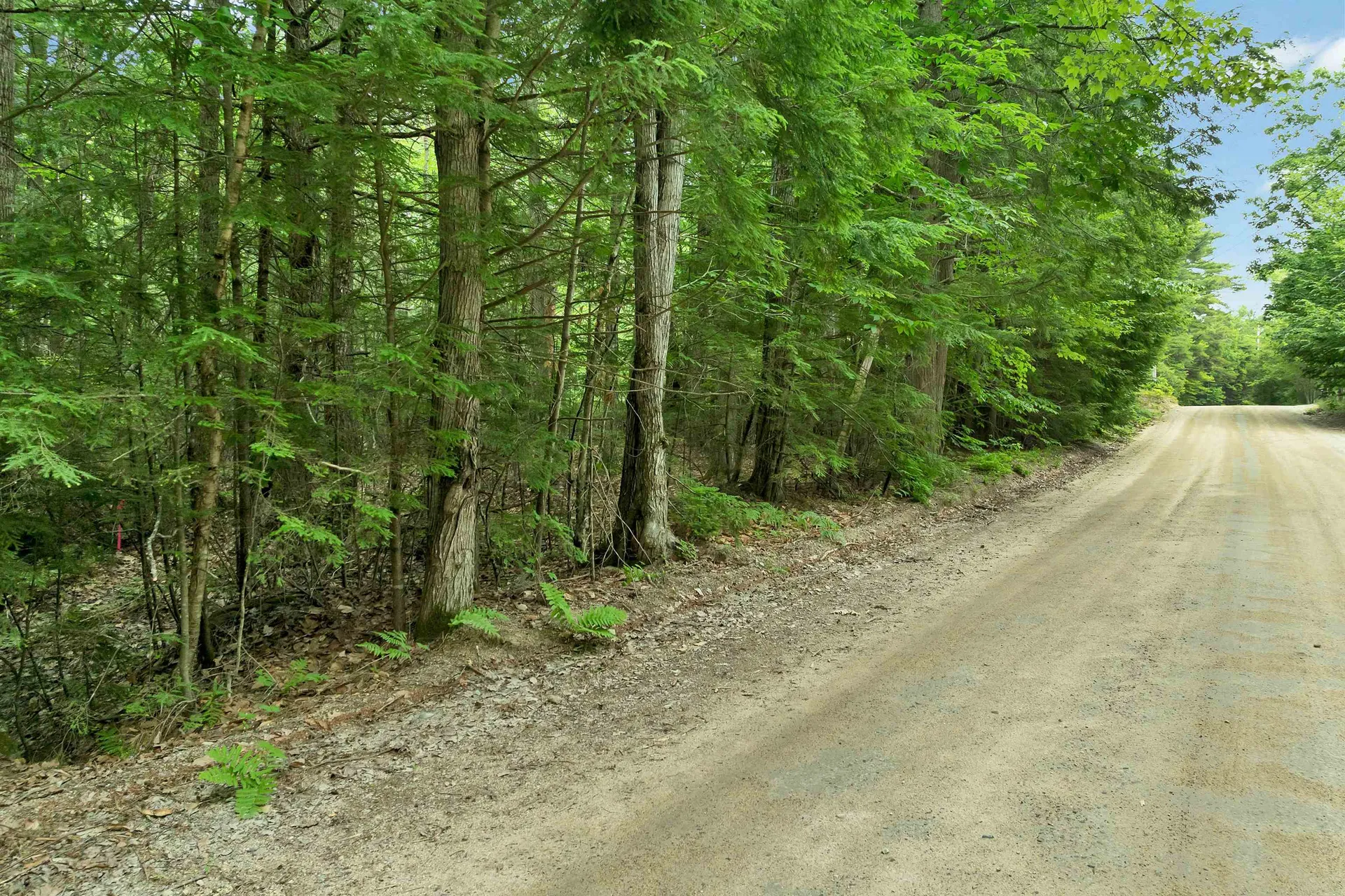 Lot 417-46 Stevens Road Effingham NH 03882