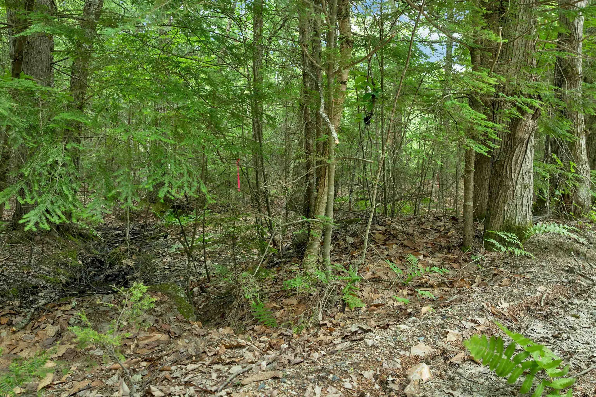 Lot 417-46 Stevens Road Effingham NH 03882