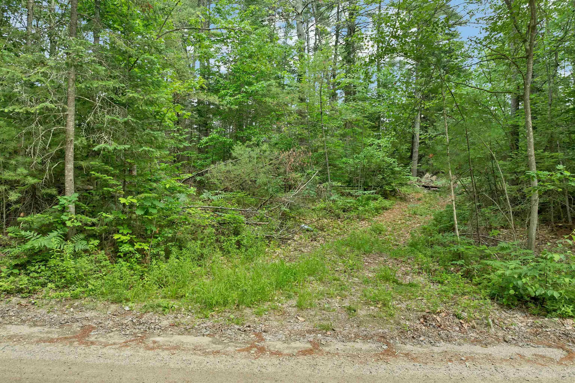Lot 417-46 Stevens Road Effingham NH 03882