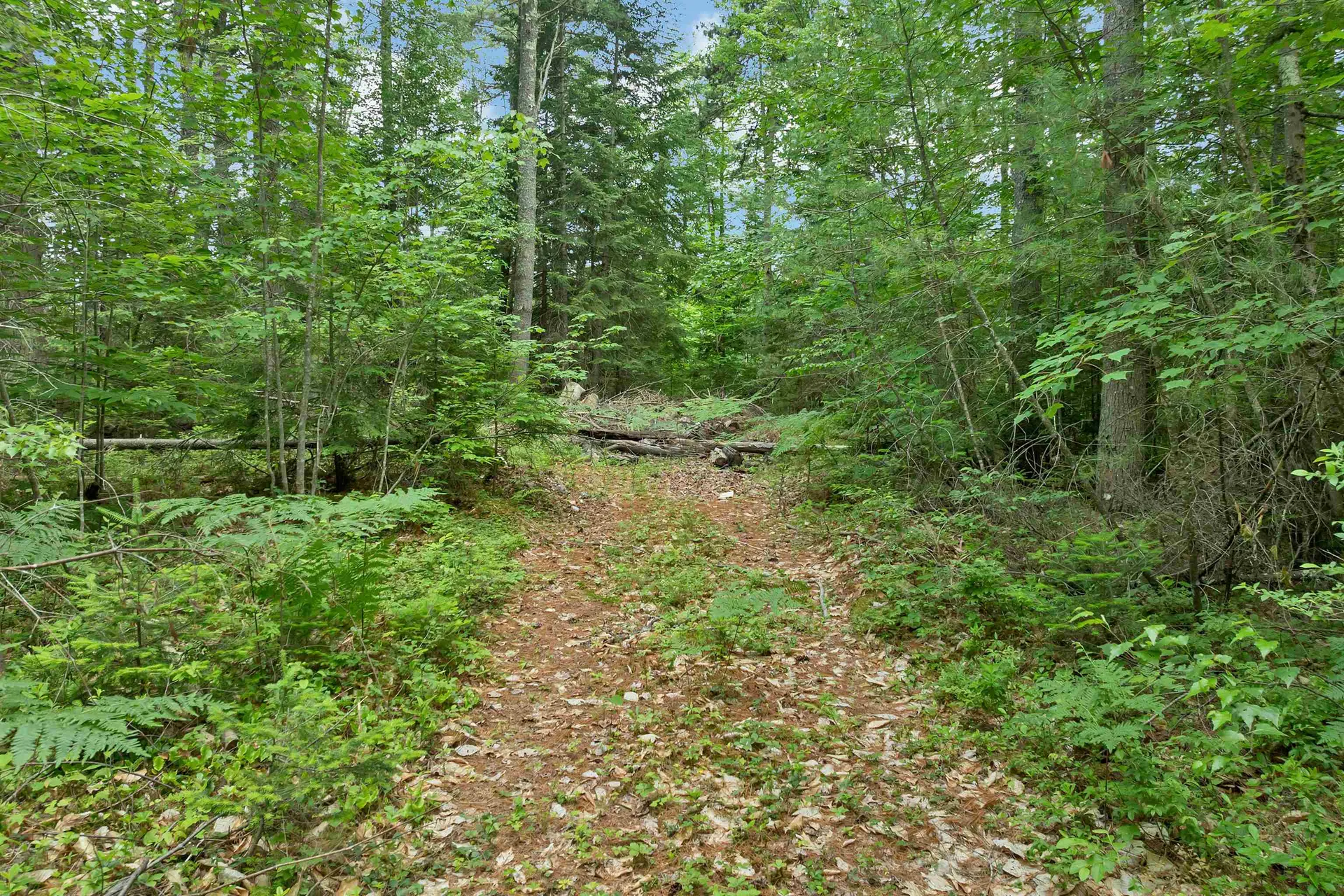 Lot 417-46 Stevens Road Effingham NH 03882