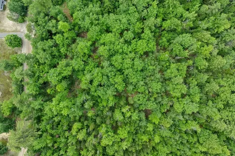 Lot 417-46 Stevens Road Effingham NH 03882