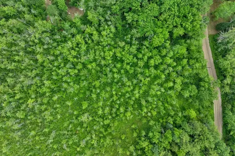 Lot 417-46 Stevens Road Effingham NH 03882