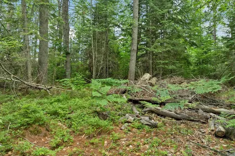 Lot 417-46 Stevens Road Effingham NH 03882
