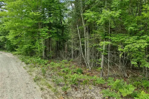Lot 417-46 Stevens Road Effingham NH 03882