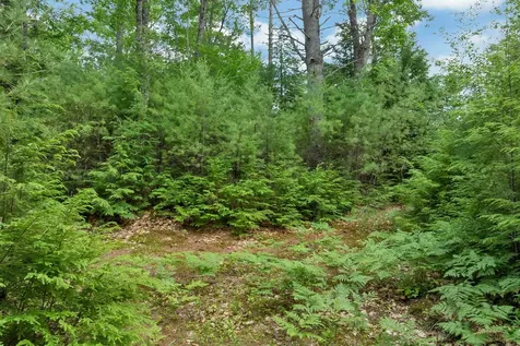 Lot 417-46 Stevens Road Effingham NH 03882