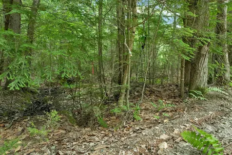 Lot 417-46 Stevens Road Effingham NH 03882
