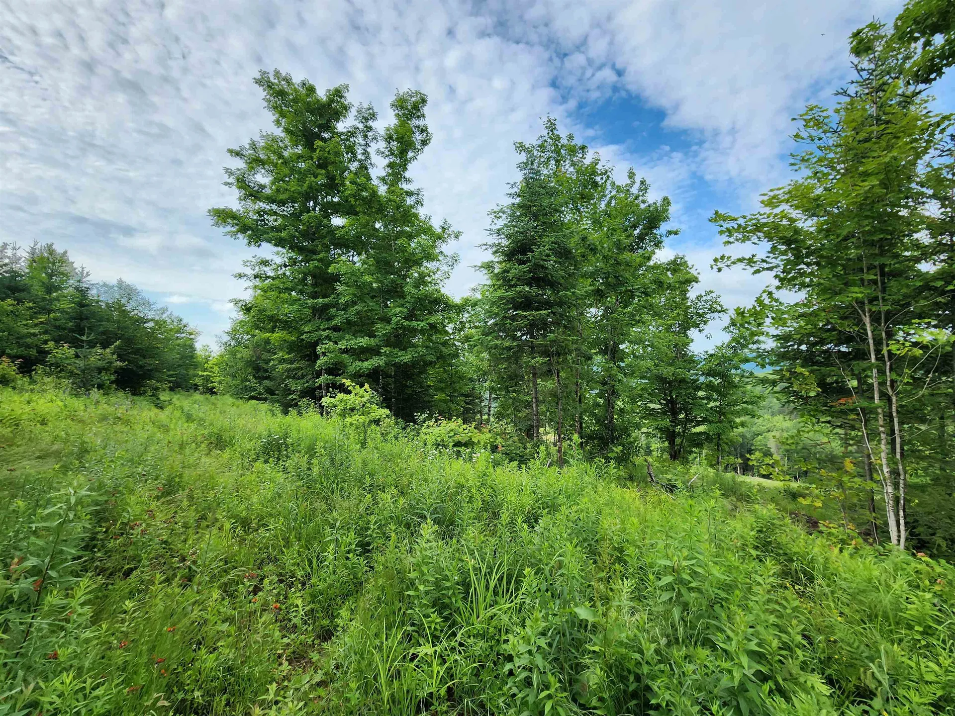 Lot 16 Ginnie Lane Errol NH 03579
