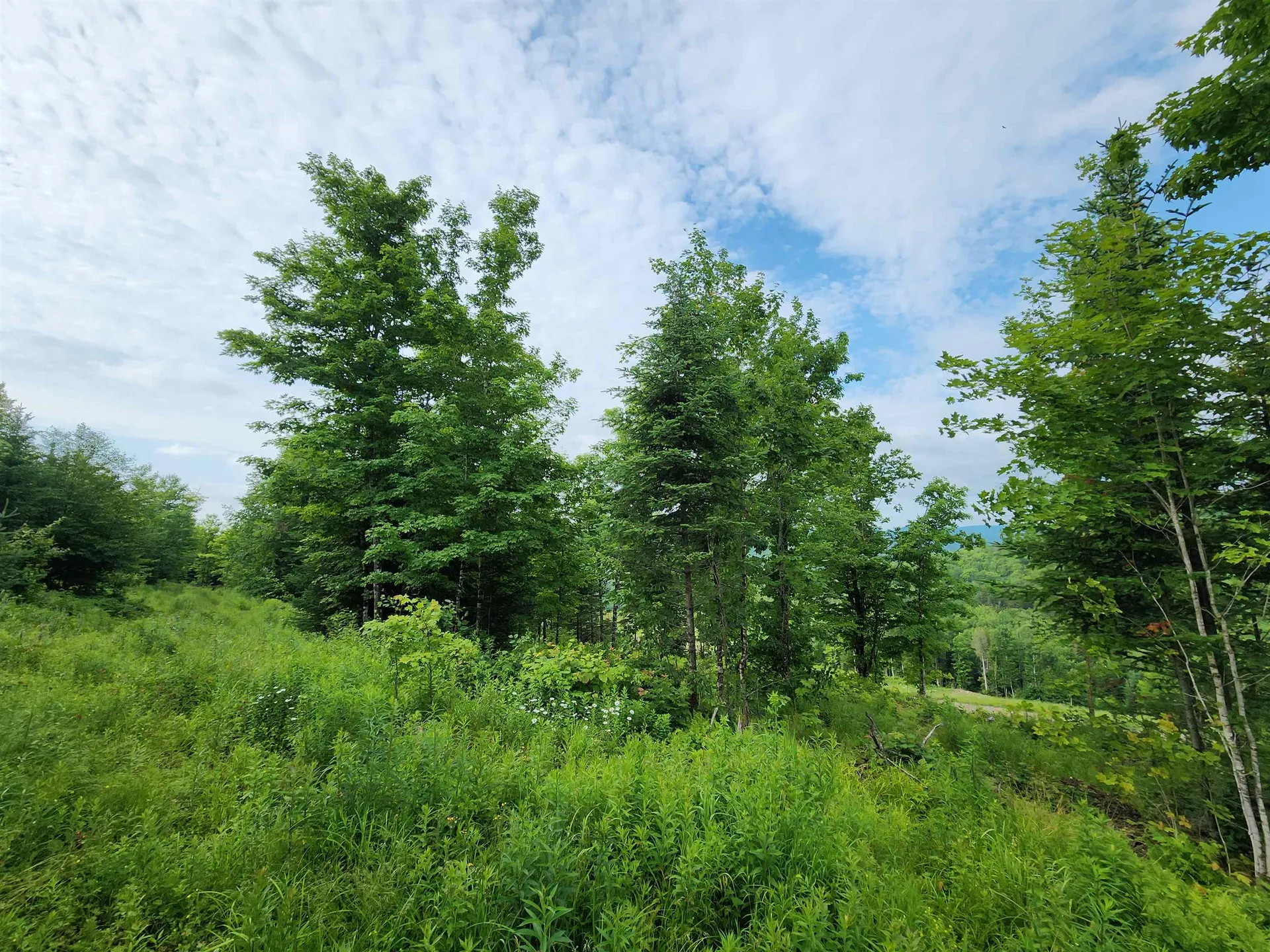 Lot 16 Ginnie Lane Errol NH 03579