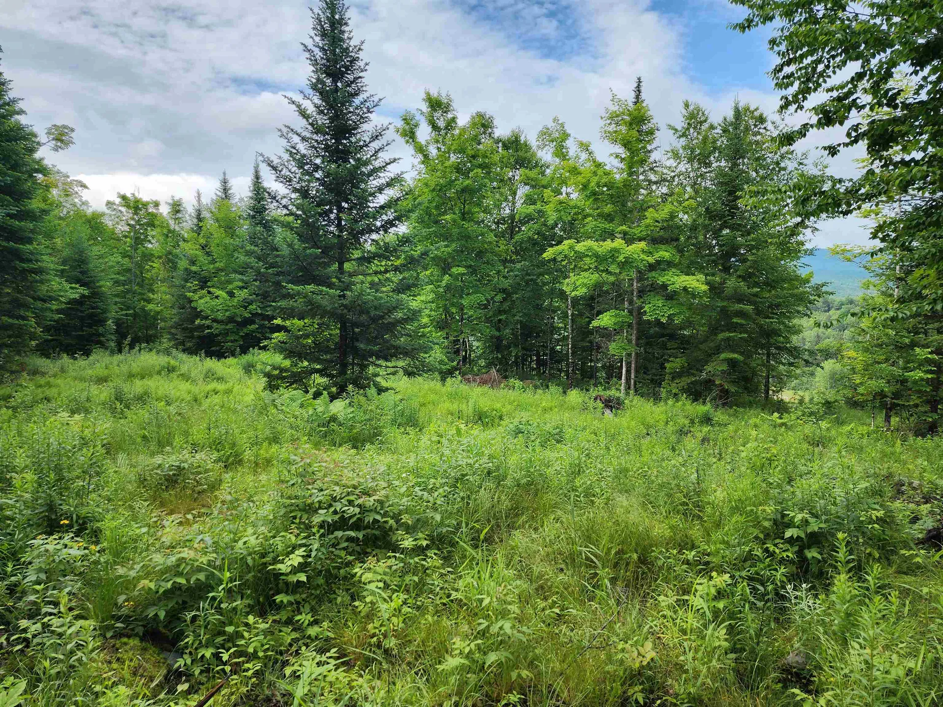 Lot 16 Ginnie Lane Errol NH 03579