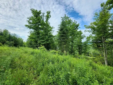 Lot 16 Ginnie Lane Errol NH 03579