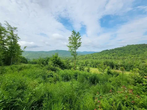 Lot 16 Ginnie Lane Errol NH 03579