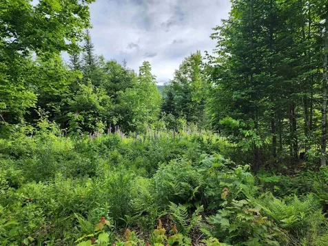 Lot 16 Ginnie Lane Errol NH 03579