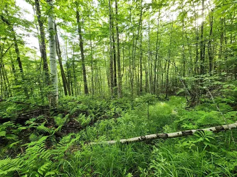 Lot 18 Ginnie Lane Errol NH 03579