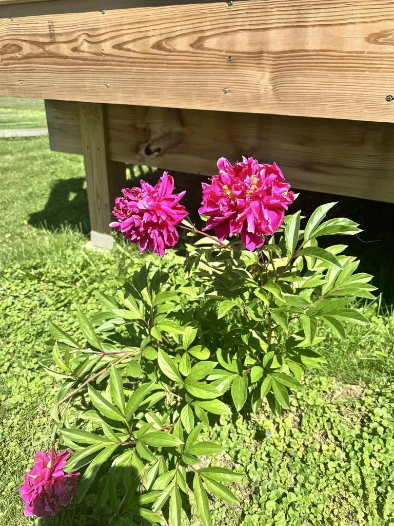 234 Cline Road Georgia VT 05478