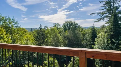 95 Hemlock Drive Londonderry VT 05343