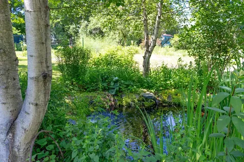 535 Oxbow Road Newbury VT 05051