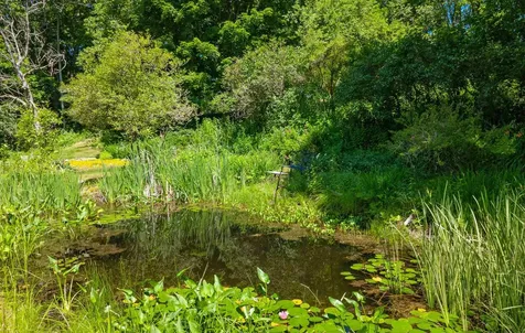 535 Oxbow Road Newbury VT 05051