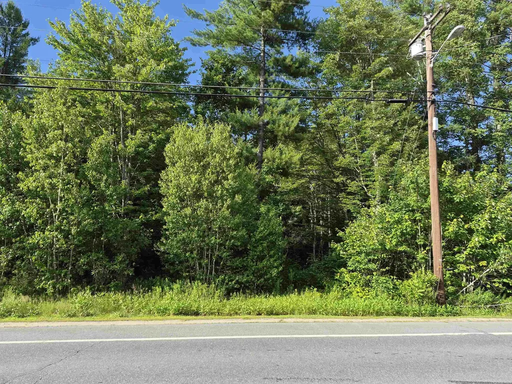 Map 105 Lot 20 Lost River Road Woodstock NH 03262