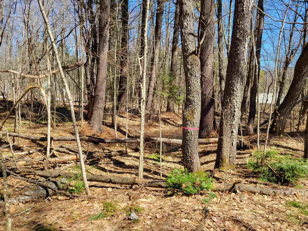 Map 105 Lot 20 Lost River Road Woodstock NH 03262