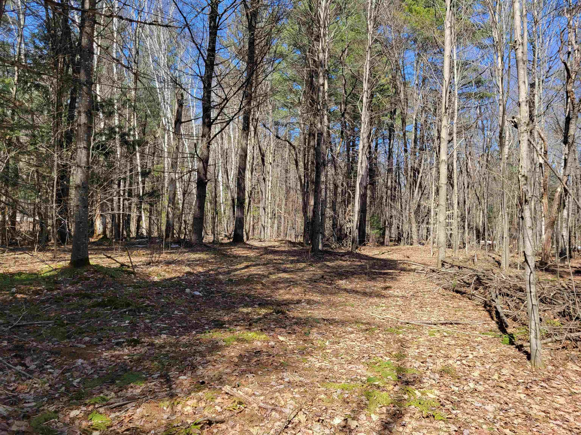 Map 105 Lot 20 Lost River Road Woodstock NH 03262