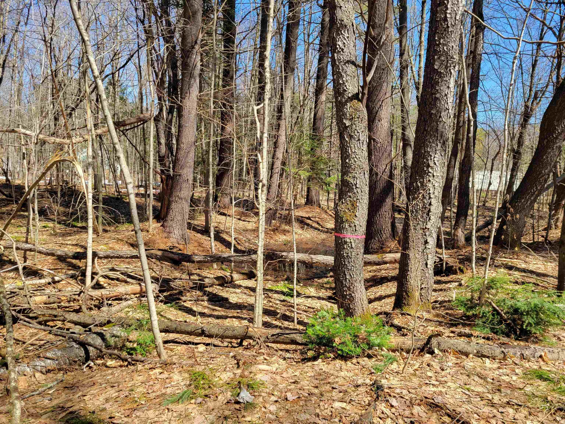 Map 105 Lot 20 Lost River Road Woodstock NH 03262