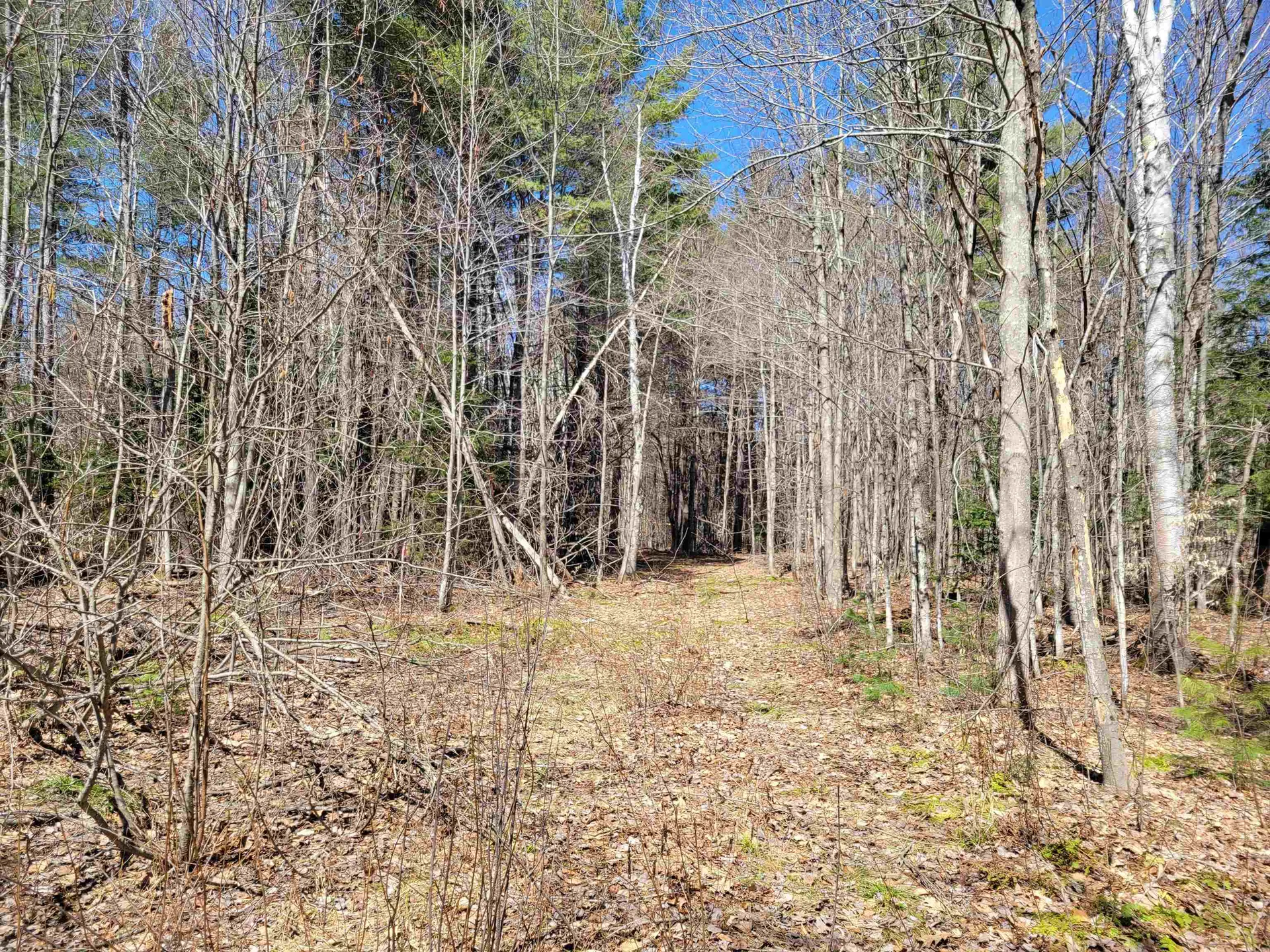 Map 105 Lot 20 Lost River Road Woodstock NH 03262