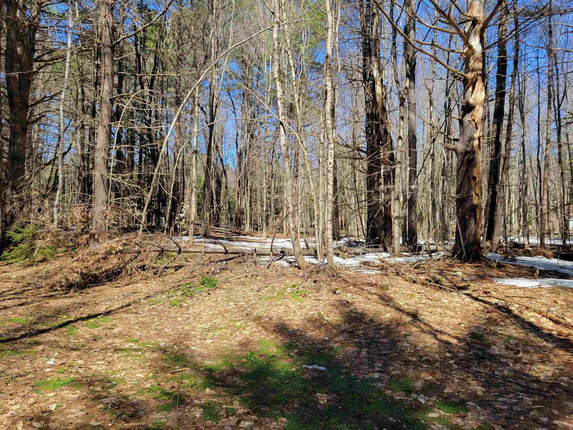 Map 105 Lot 20 Lost River Road Woodstock NH 03262