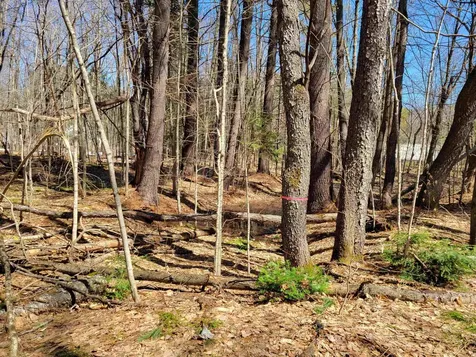 Map 105 Lot 20 Lost River Road Woodstock NH 03262