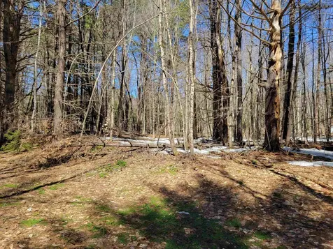 Map 105 Lot 20 Lost River Road Woodstock NH 03262