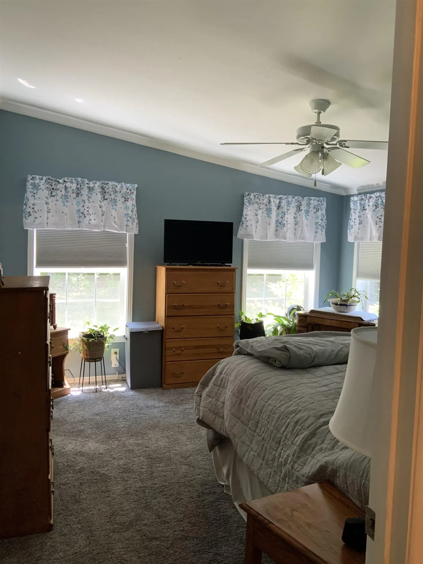56 Osprey Road Alton NH 03809