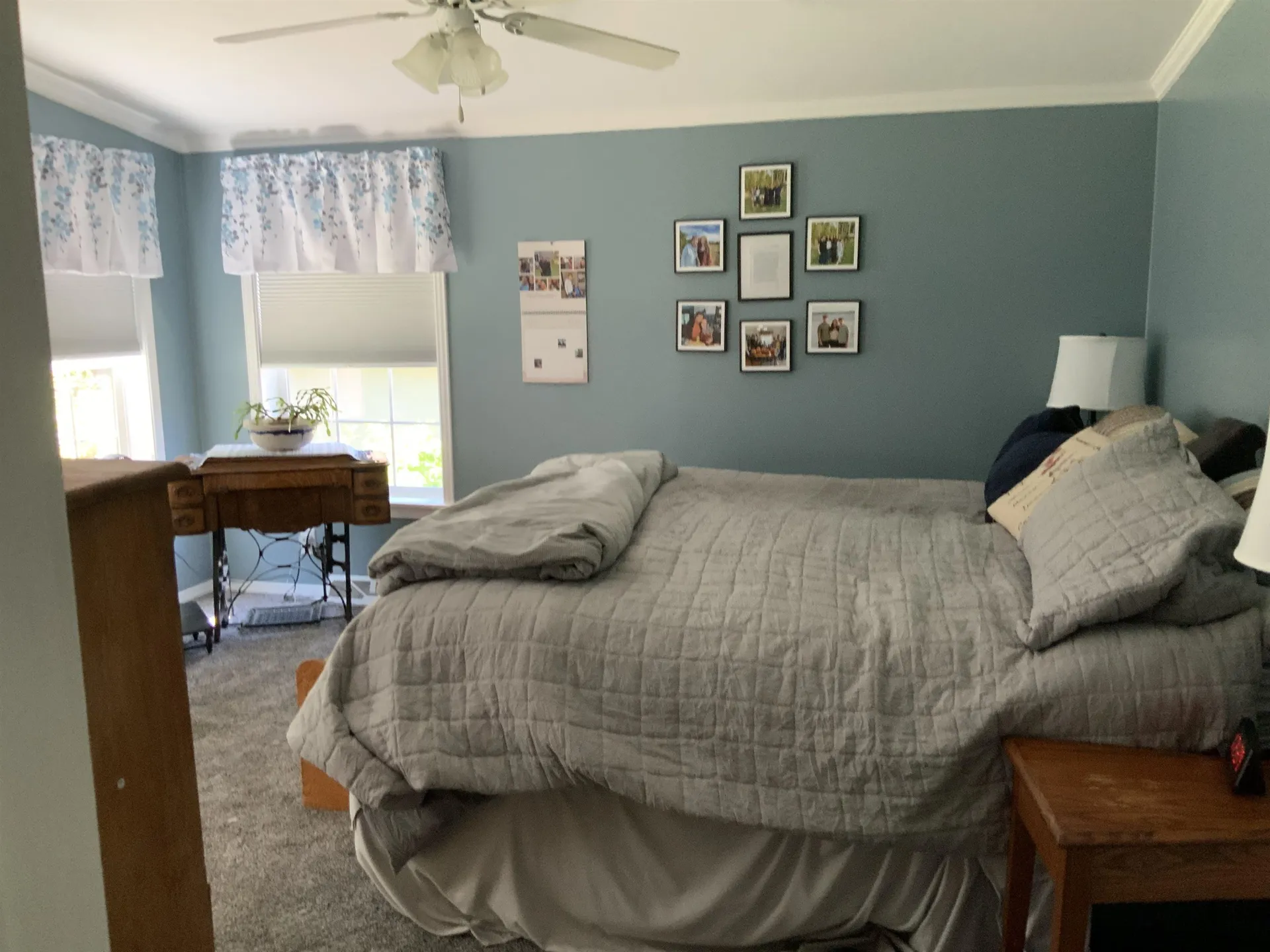 56 Osprey Road Alton NH 03809