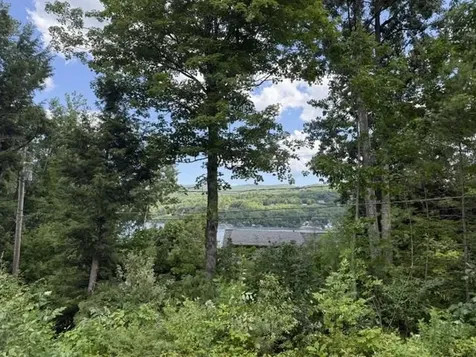 31 Don Gerry Road Bristol NH 03222-3770