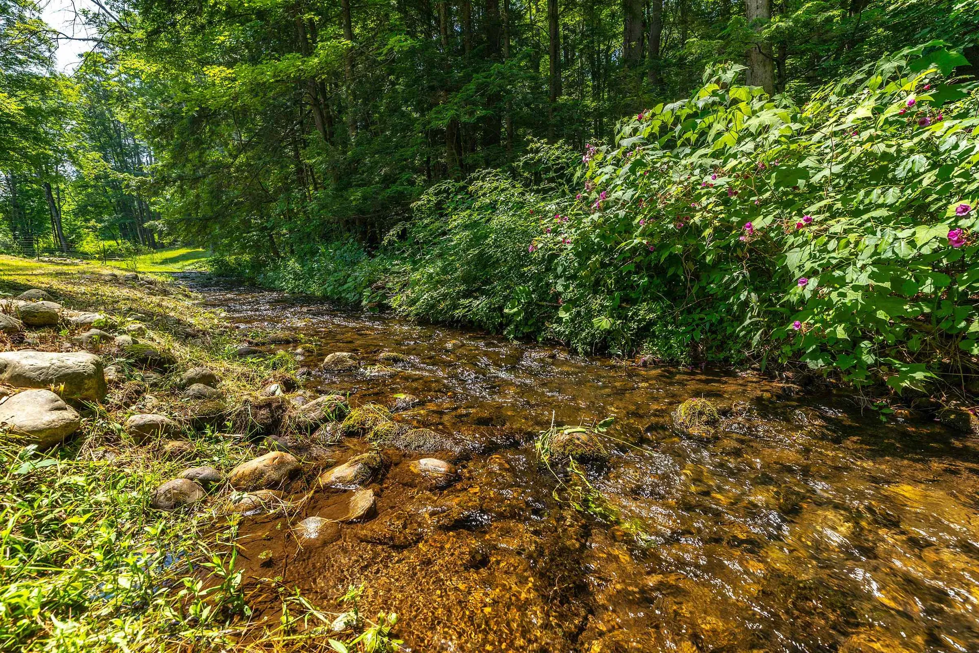 107 Colbrook Drive Arlington VT 05250