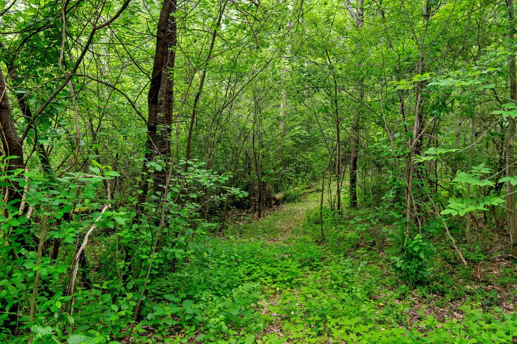 49 Shady Lane Williston VT 05495