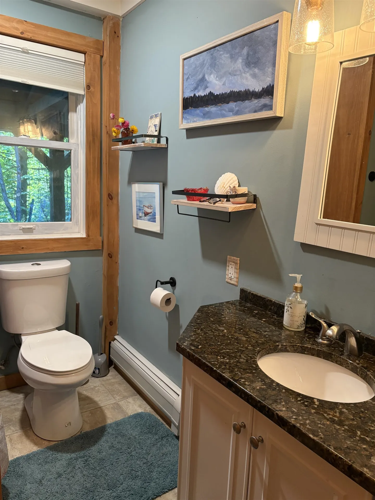 2575 Elmore Pond Road Wolcott VT 05680