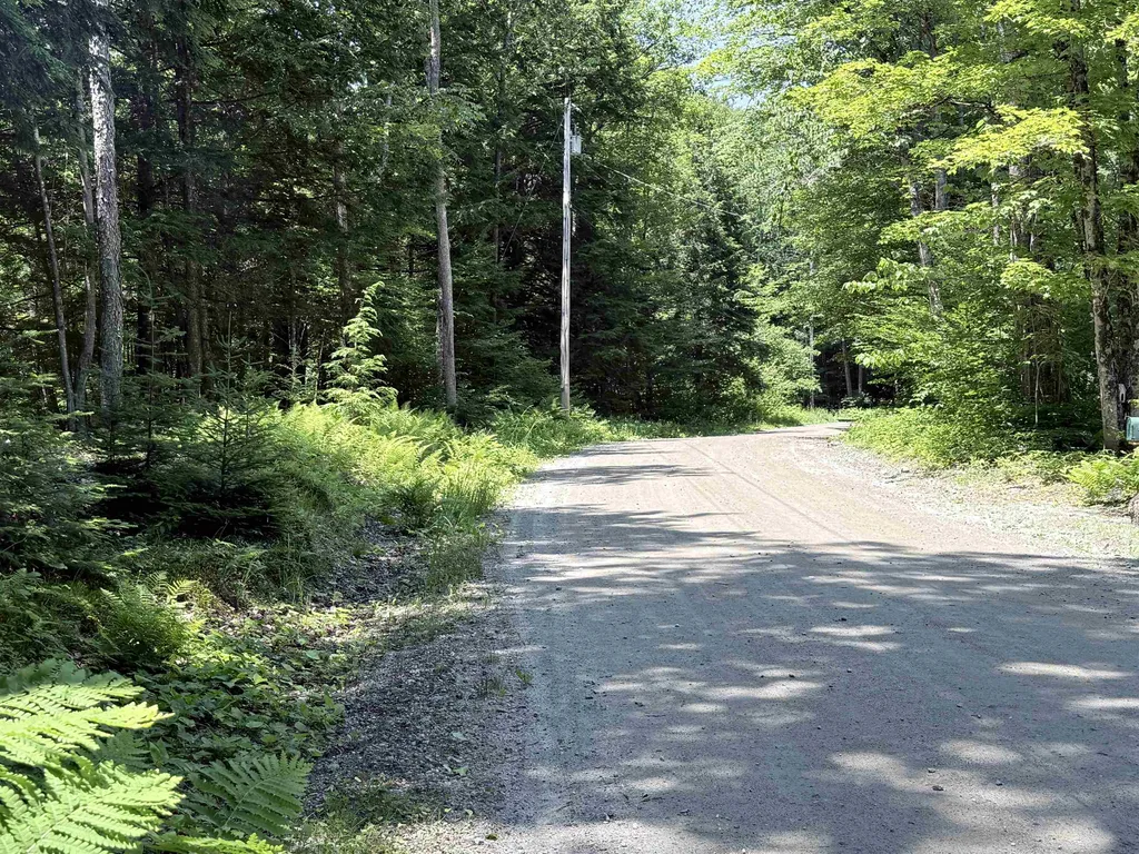 729 Davis Road Cavendish VT 05142