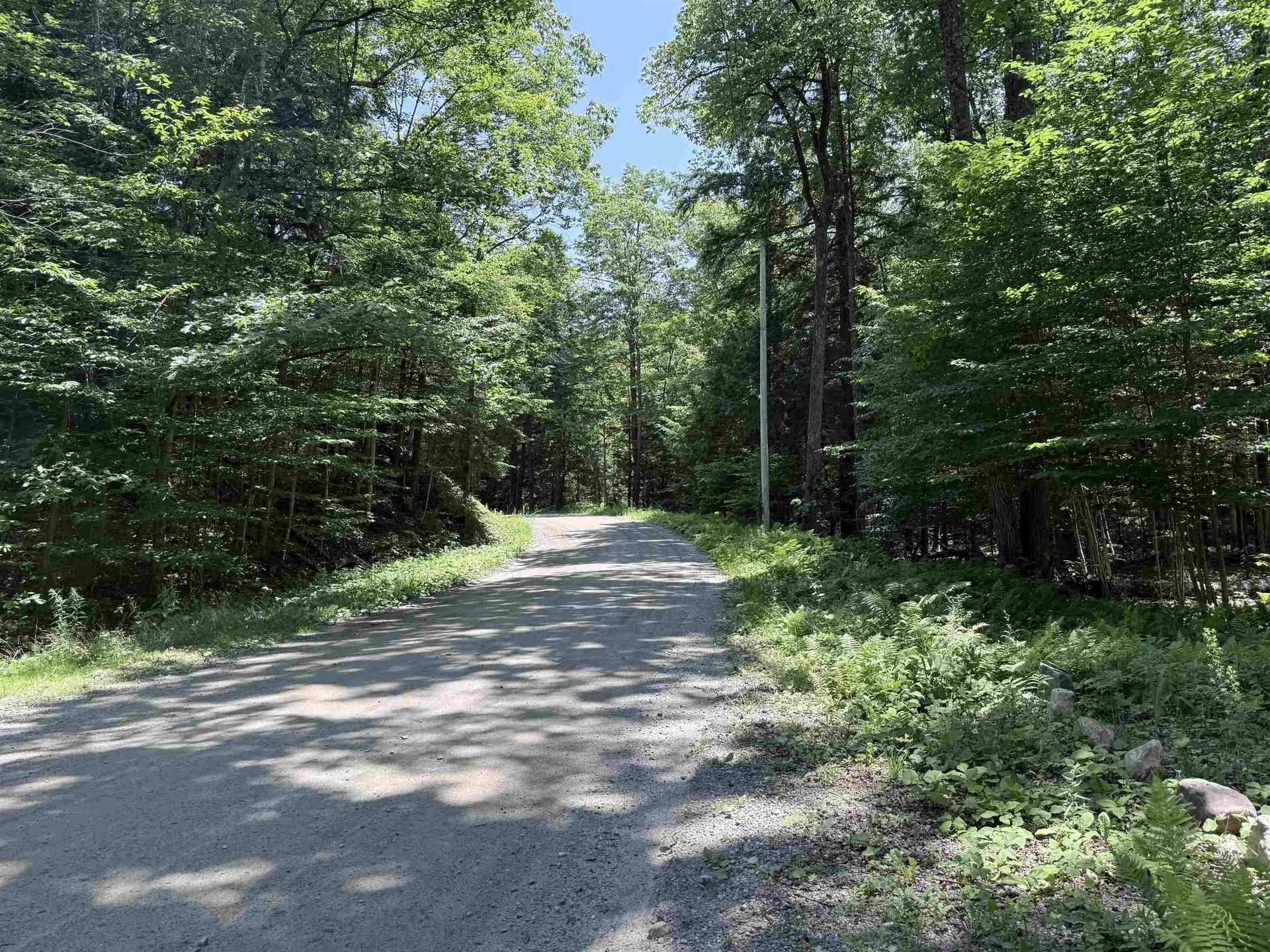 729 Davis Road Cavendish VT 05142