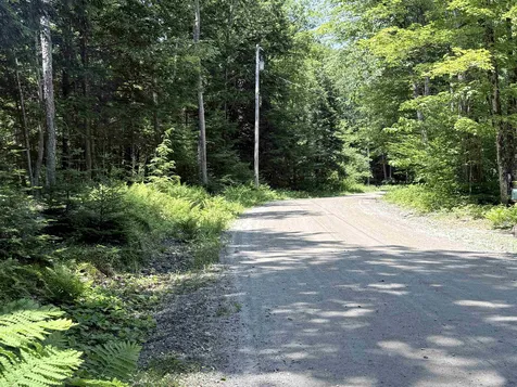 729 Davis Road Cavendish VT 05142