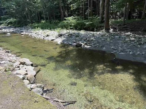 729 Davis Road Cavendish VT 05142