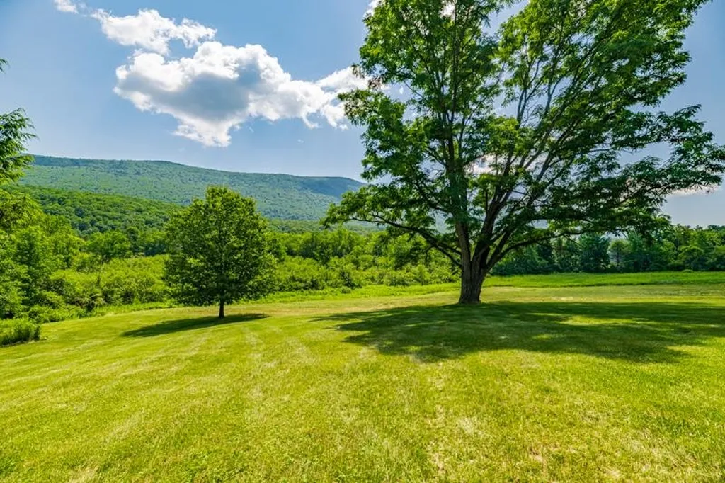 246 Brooklyn Road Mount Tabor VT 05739