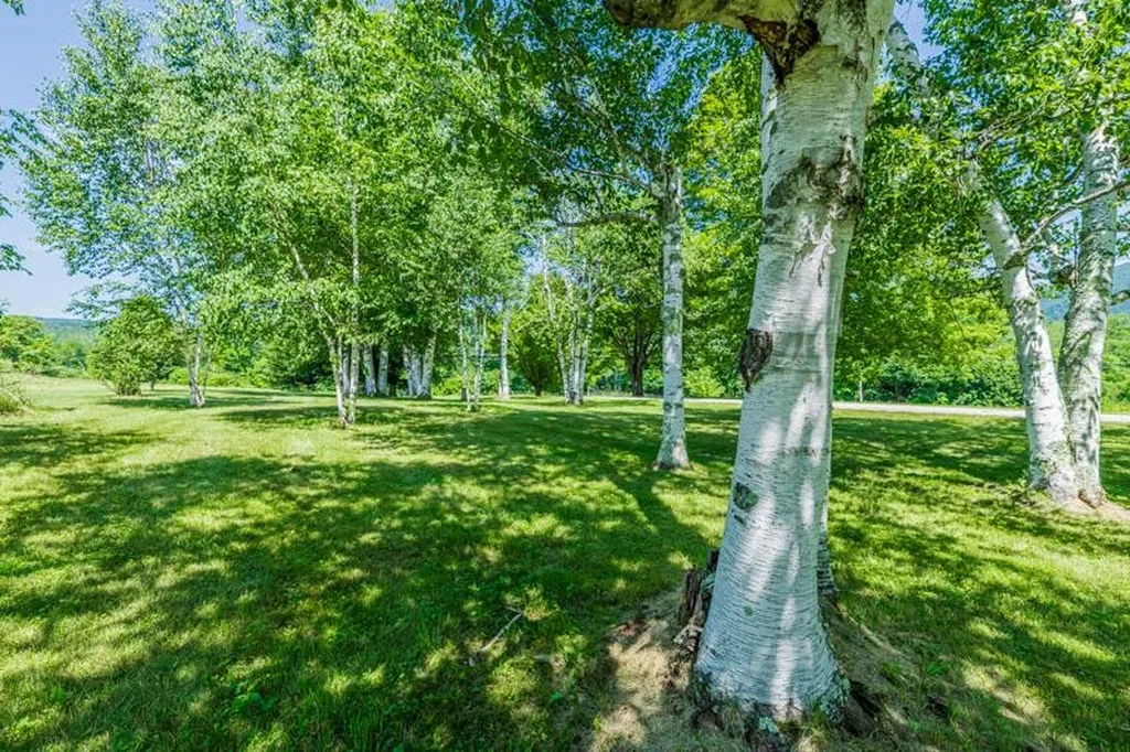 246 Brooklyn Road Mount Tabor VT 05739