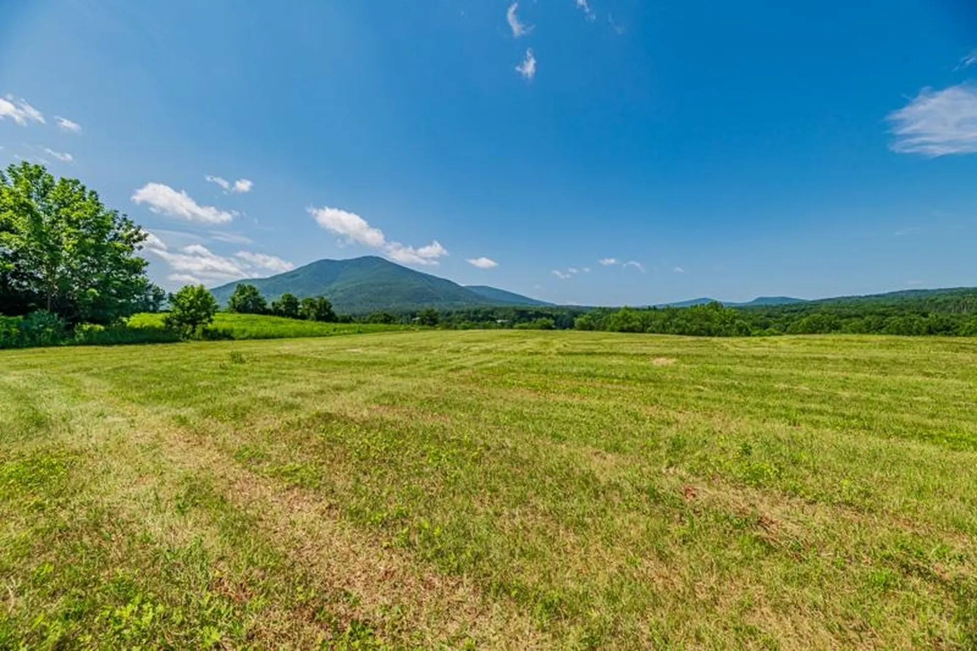 246 Brooklyn Road Mount Tabor VT 05739