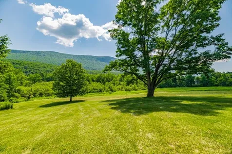 246 Brooklyn Road Mount Tabor VT 05739